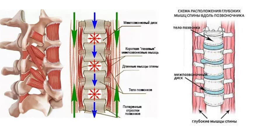 Стул-тренажер. Scaun ortopedik