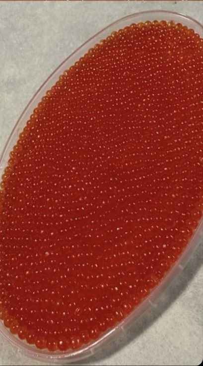 Червона ікра Форелі. Чорна ікра (забійна) Сибірського осетра