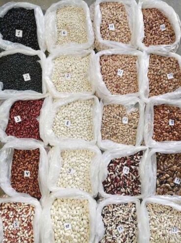 Квасоля на продаж. 20 сортів квасолі в асортименті