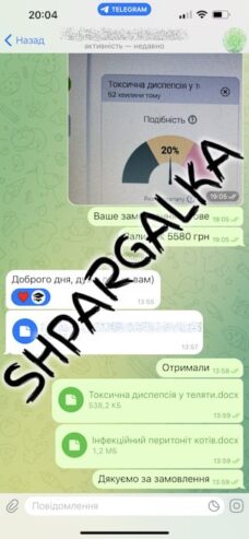 Мотивационное письмо на заказ в Украине