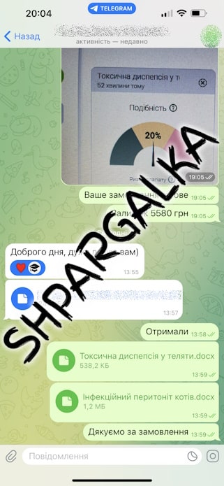 Мотивационное письмо на заказ в Украине