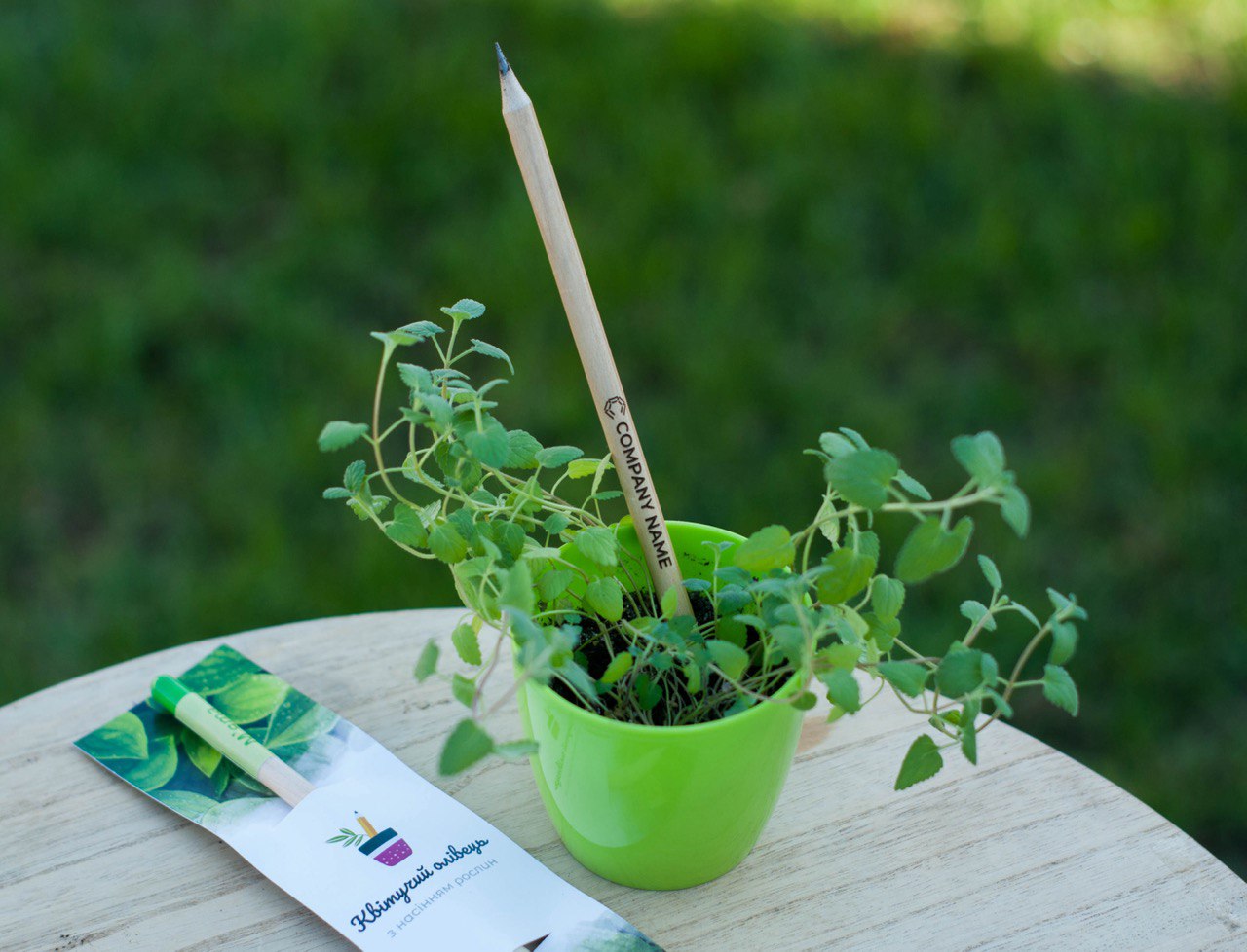 Квітучі олівці з логотипом. Друк на олівцях