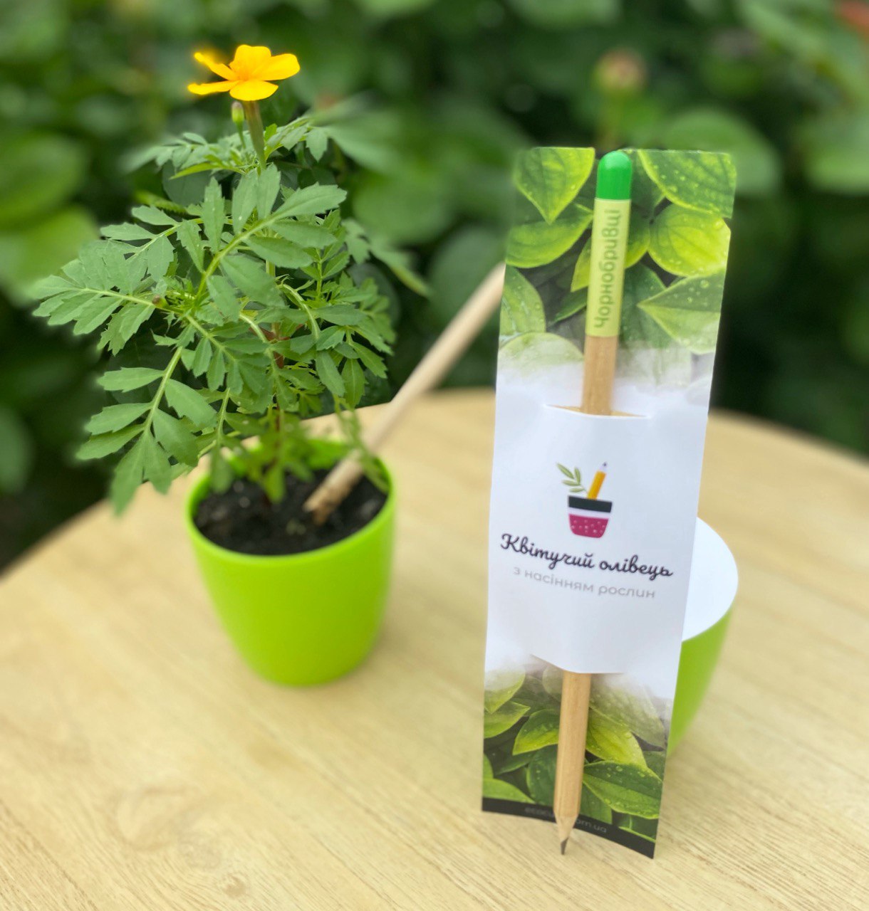 Квітучі олівці з логотипом. Друк на олівцях