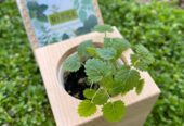 Корпоративні подарунки для агробізнесу\агрокомпаній від Еко