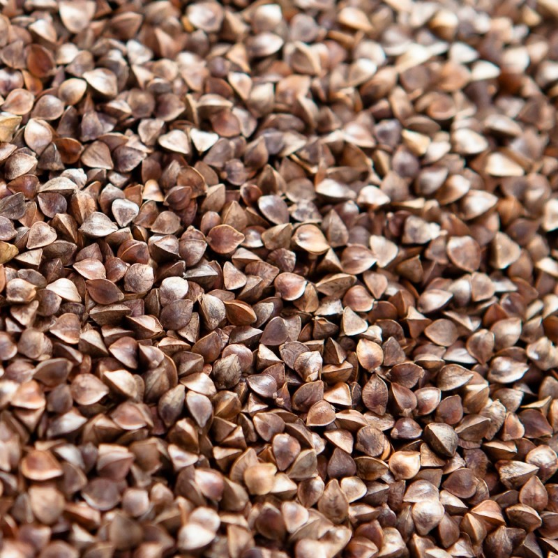 Зерно гречки. Гречиха оптом