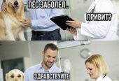 Вызов ветеринара на дом Днепр