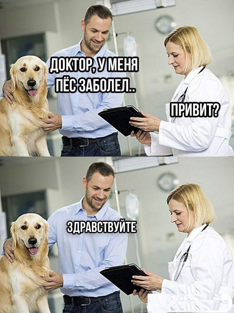 Вызов ветеринара на дом Днепр