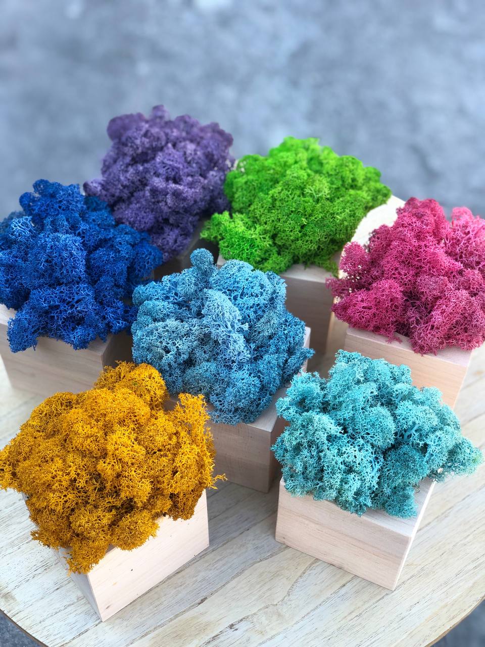 Промо-сувеніри. Кашпо зі стабілізованим мохом