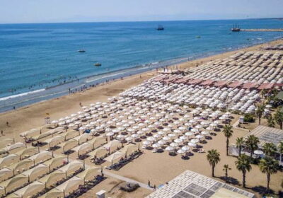 turkey