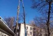 Спилим обрежем деревья, удалим поросли