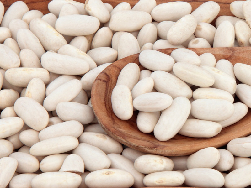 Квасоля. Різні сорти в наявності