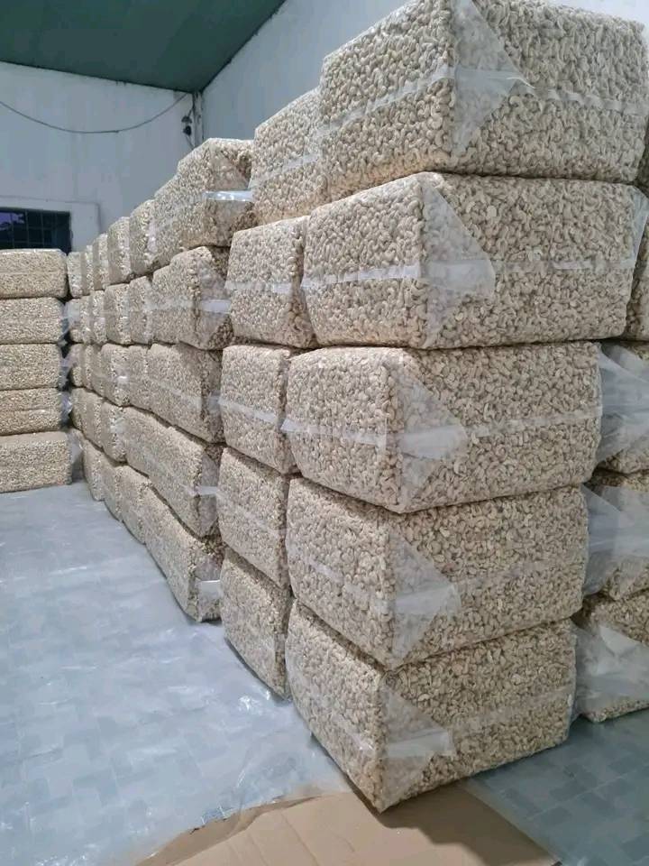 Quality Cashew Nuts For Export | Cashew Nuts Supplier