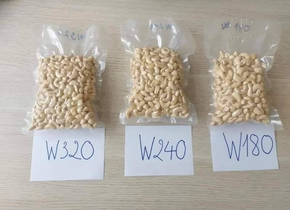 Cashew Nuts W180 | Cashew Nuts W240 | Cashew Nuts W320