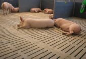 Надійні залізобетонні вироби в Кривому Розі та по всій Украї