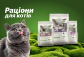 Сухий корм для котів та собак STARDEYL
