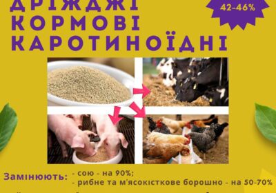 drozhzhi kormovye kopiya