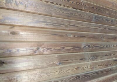 img e4a7ee161d1cad5f34ca48f250d37e87 v