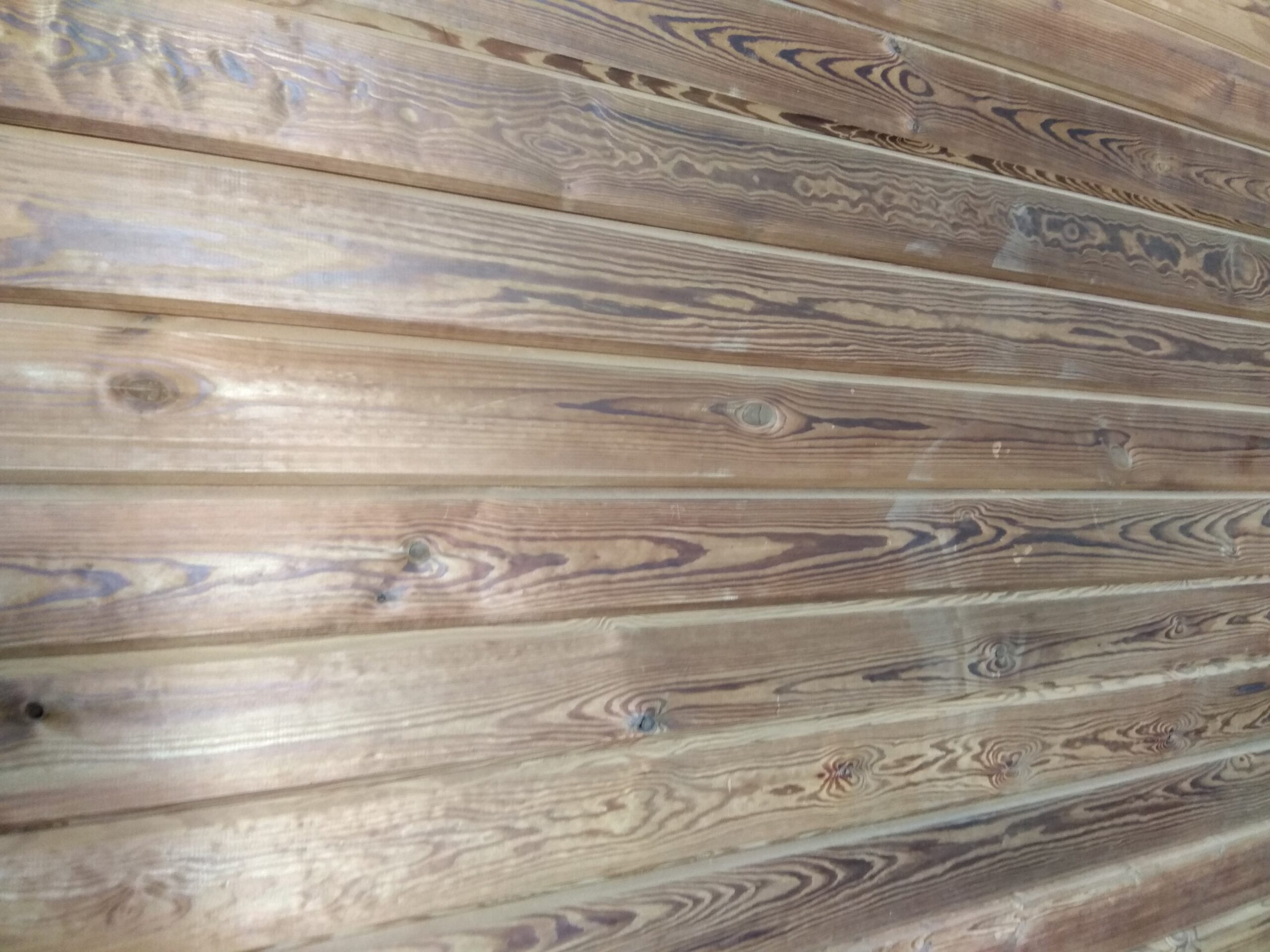 Термодошка, термососна, термоясен, термовільха, термодерево