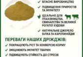 Кормові дріжджі – білково-вітамінна добавка від виробника