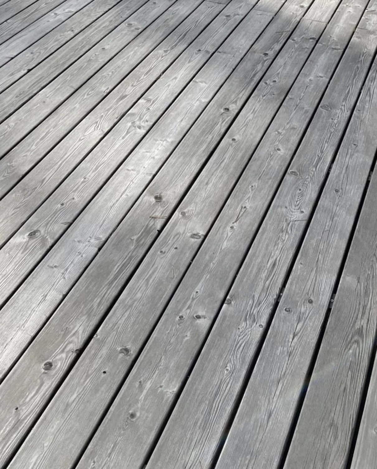 Термодошка, термососна, термоясен, термовільха, термодерево