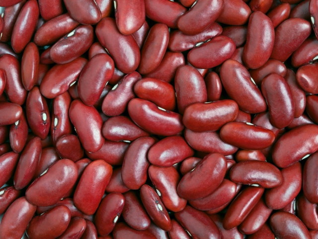 Високоякісна квасоля оптом