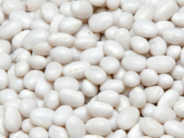 Квасоля оптом від виробника. 20 сортів в асортименті