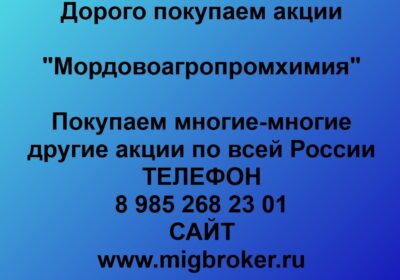 mordovoagropromhimiya czena akczij mordovoagropromhimiya foto