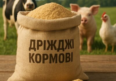 reklama po drozhzham