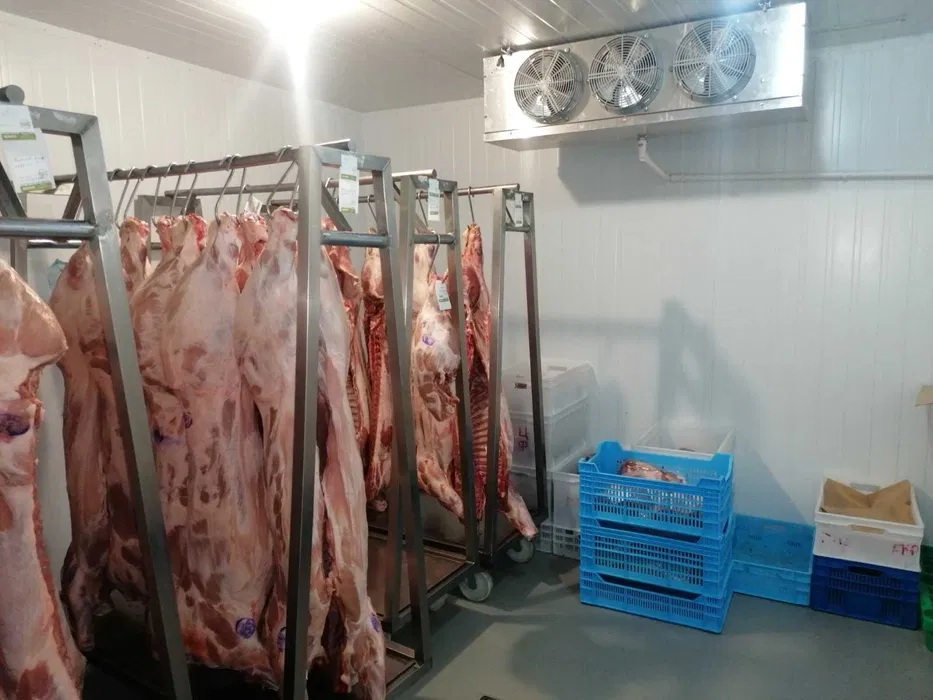 Морозильна камера – Шокова заморозка ковбас, м’яса, сирів