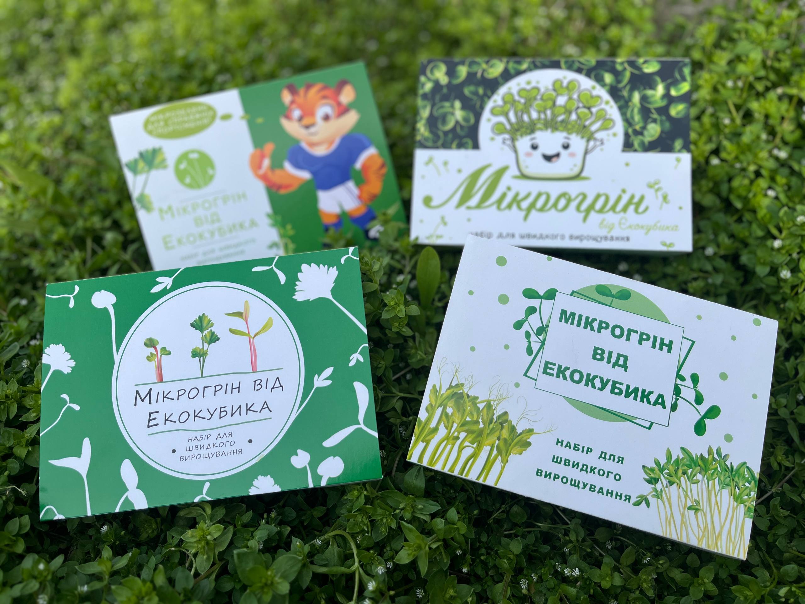 Еко-рішення: корпоративні подарунки на 8 березня з логотипом