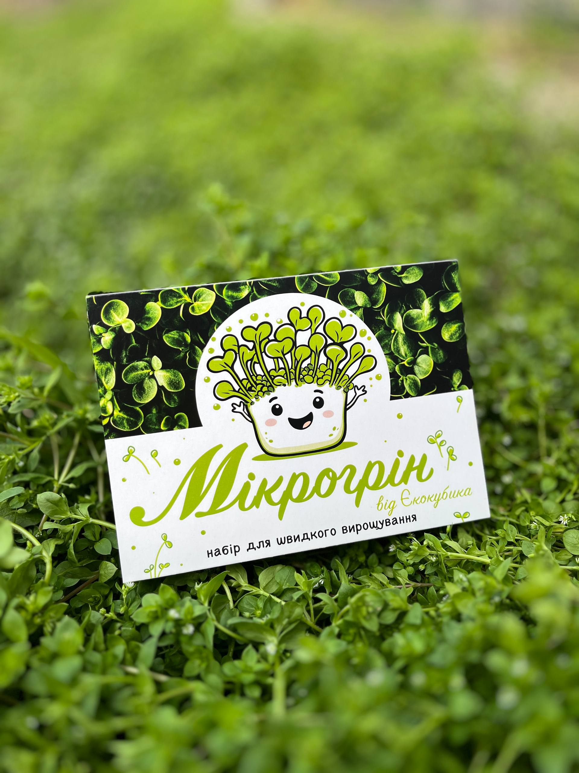 Еко-рішення: корпоративні подарунки на 8 березня з логотипом