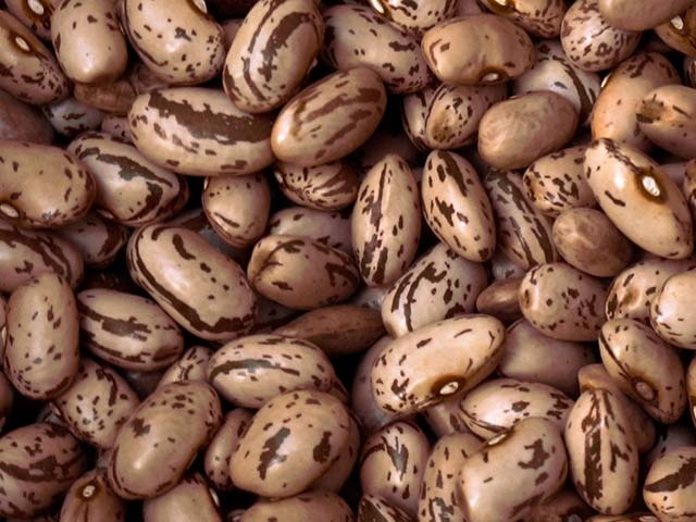 Сортова квасоля оптом. Доставка по Україні