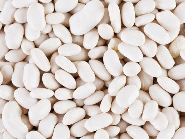 Продаж високоякісної квасолі відбірних сортів