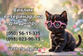Ветеринар на дім Дніпро – Кастрація, Стерилізація,