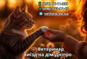 Ветеринар на дім Дніпро – Кастрація, Стерилізація,