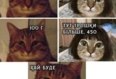 Ветеринар на дім Дніпро – Кастрація, Стерилізація,