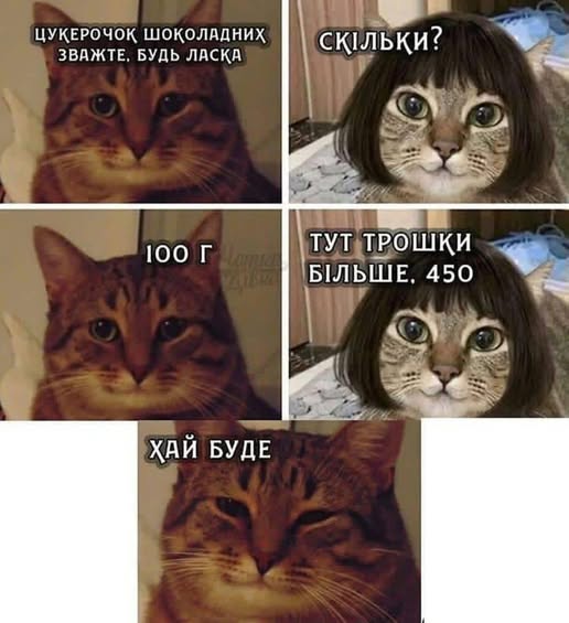 Ветеринар на дім Дніпро – Кастрація, Стерилізація,