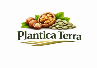 zobrazhennya viber 2026 02 13 13 36 01 082