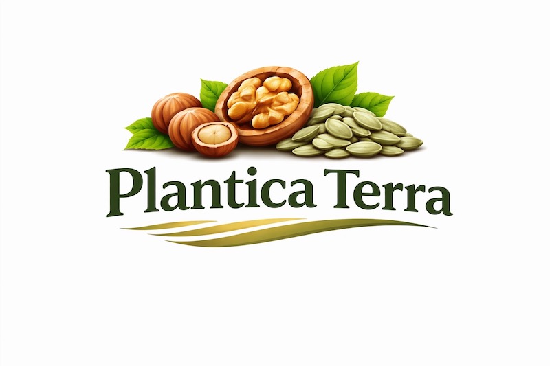 Стабільний постачальник волоського горіха та фундука Planti