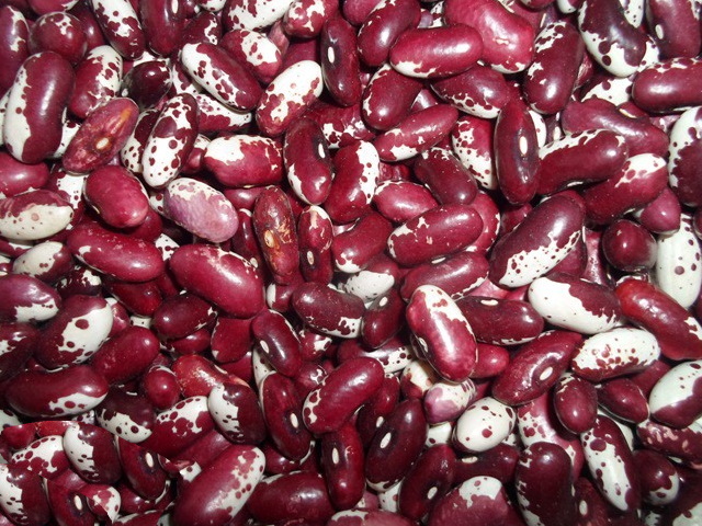 Оптовий продаж квасолі з доставкою