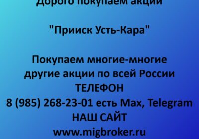 priisk ust kara czena akczij priisk ust kara stoimost akczij