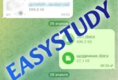 Замовити курсову роботу в Україні