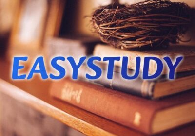 zamovyty dyplomnu robotu v ukraini