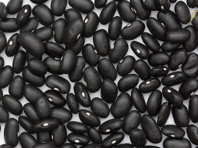 Квасоля Шоколадниця, Ліма, Кофейка, Солдатик та ін