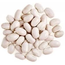 Закупка квасолі на переробку, консервування