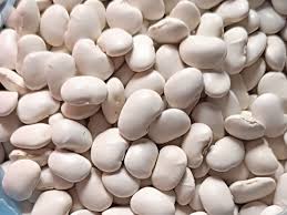 Купуємо квасолю на переробку, консервування. Самовивіз по Ук