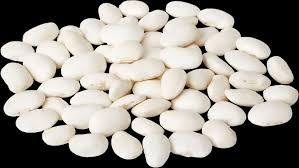 Закупівля квасолі для консервного виробництва