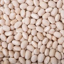 Посівмат квасолі з гарантією викупу врожаю.