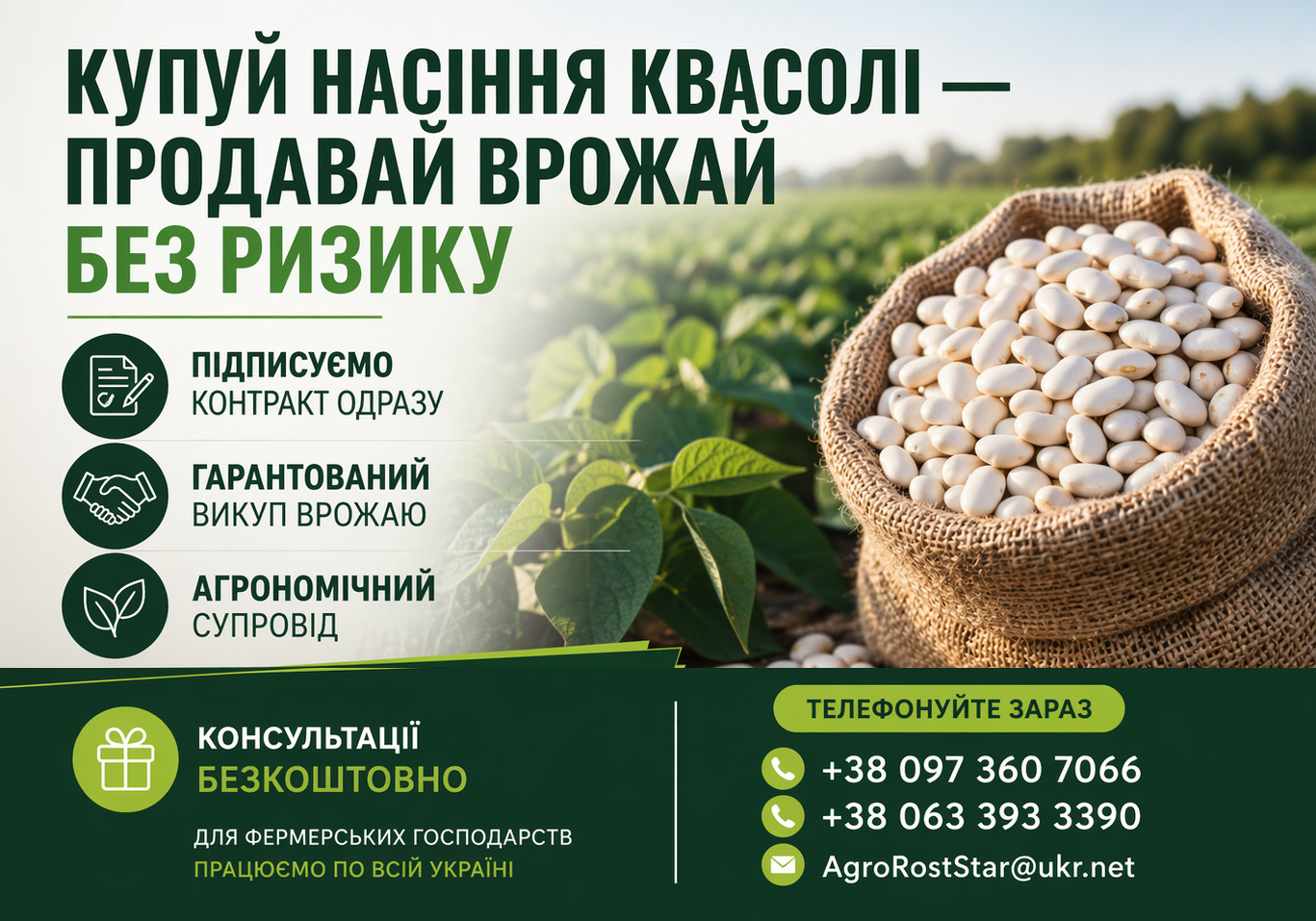 Насіння квасолі на продаж. Гарантія викупу врожаю