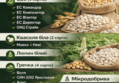 nasinnyamikrodobriva